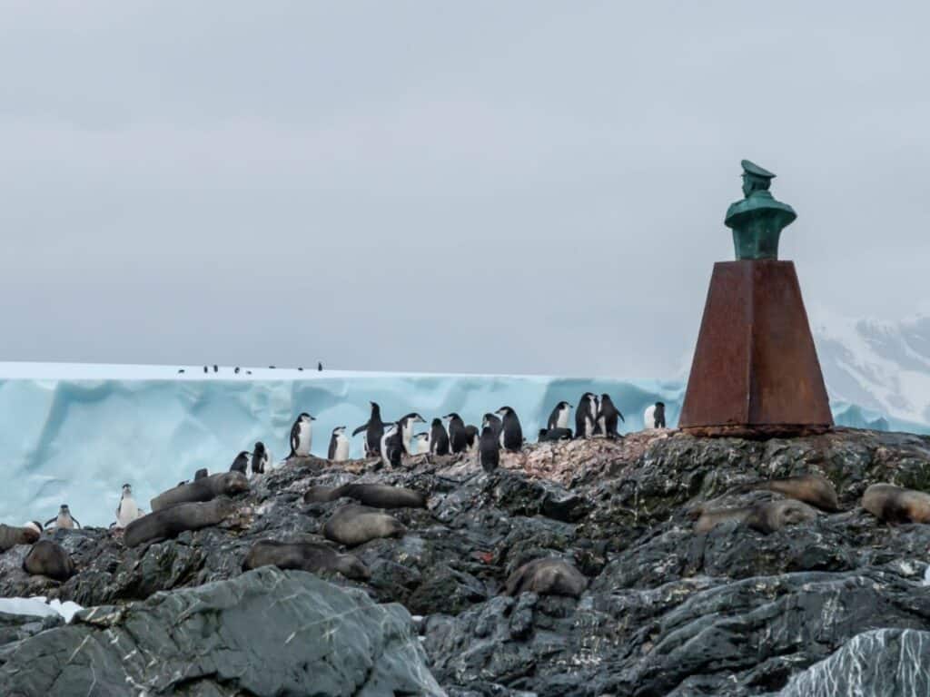 Pinguins no Cruzeiro Antártida